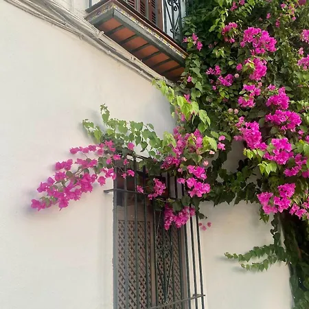 Nyaraló The Mediterranean House *